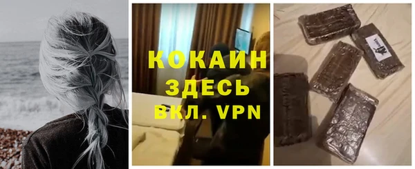 spice Бердск