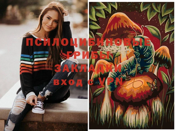 шишки Артём