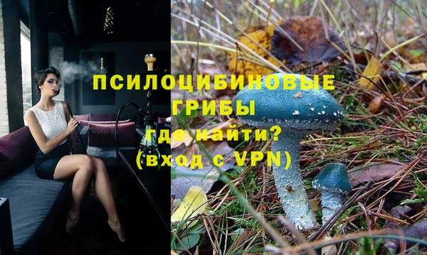шишки Артём