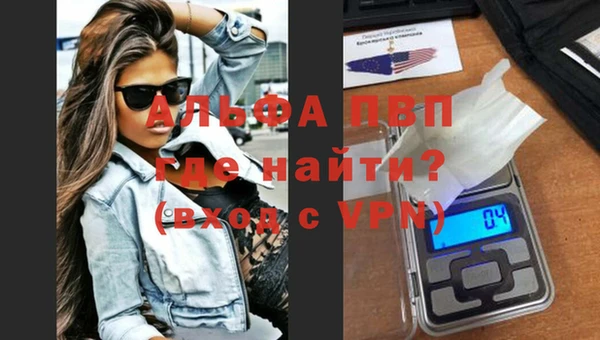 spice Бердск