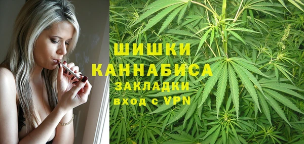 spice Бердск