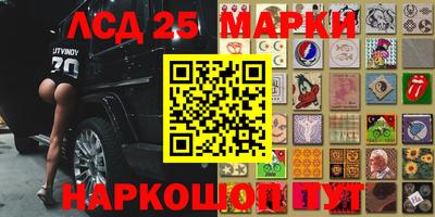 прущие грибы Балаково
